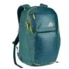 Gregory RESIN 26 Unisex - Tagesrucksack