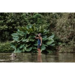 Grayl GEOPRESS PURIFIER - Trinkwasserfilter -Camping Serien Geschäft 5637917282 f geopress purifier grayl 24