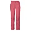 The North Face W PROJECT PANT Damen - Kletterhose -Camping Serien Geschäft 5637926229 a w project pant the north face 24