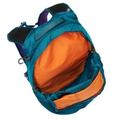 Gregory NANO 20 PLUS Unisex - Tagesrucksack -Camping Serien Geschäft 5638018822 eokgqrf nano 20 plus gregory 24