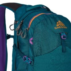 Gregory NANO 20 PLUS Unisex - Tagesrucksack -Camping Serien Geschäft 5638018822 g nano 20 plus gregory 24